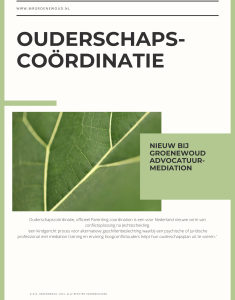 Parenting Coordination e-book