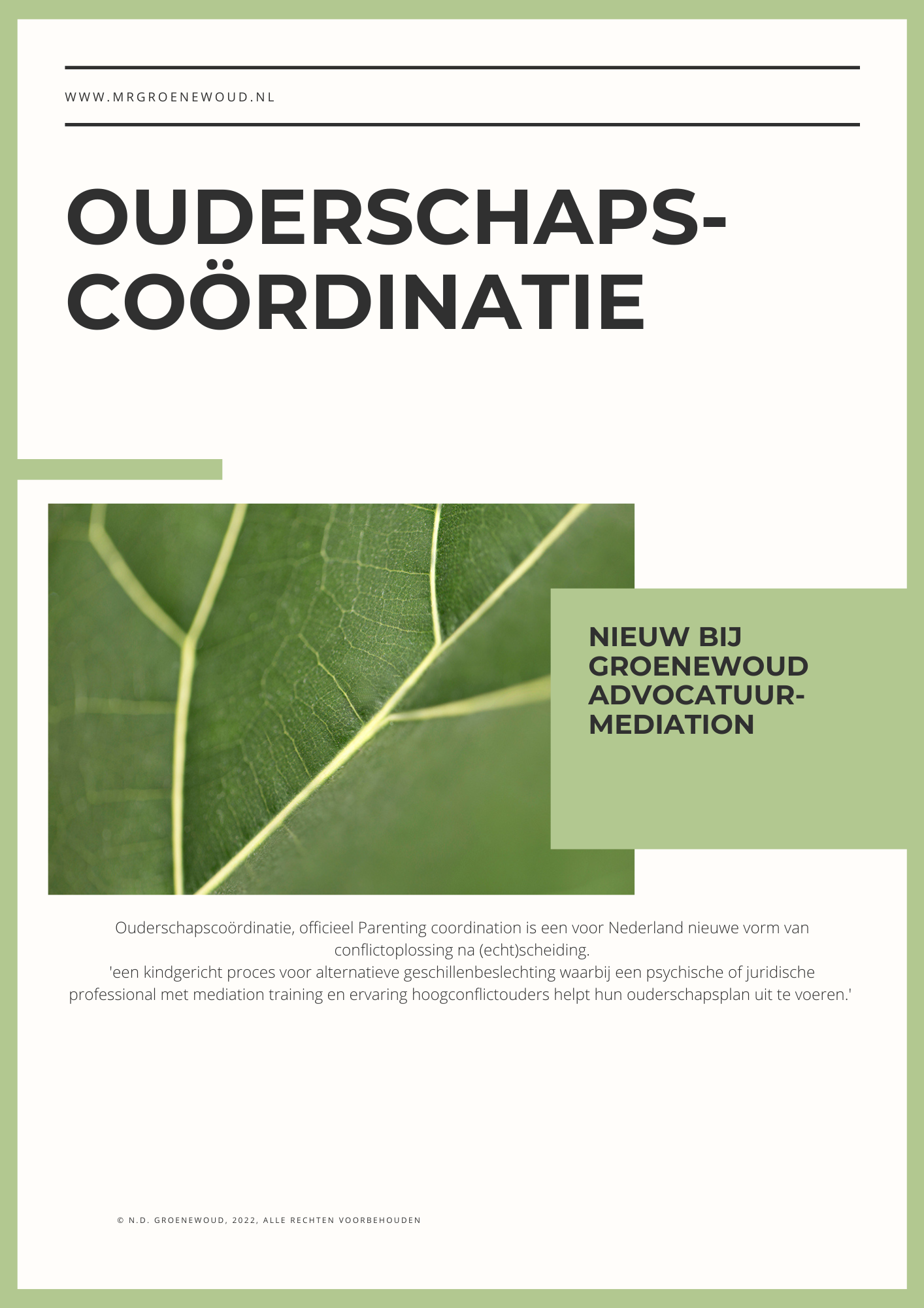 Parenting Coordination e-book